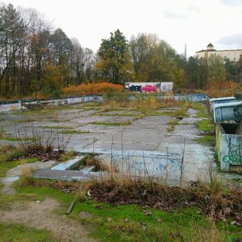shopping cart handcart wheeled vehicle container landscape
