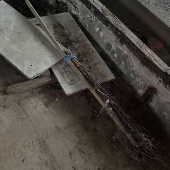 The Cow Farm The Cow Farm