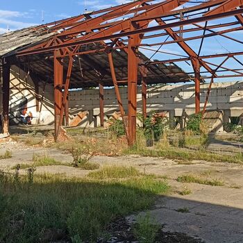 Agricultural area 2023