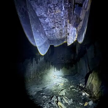 hory, DOLY, černý pes