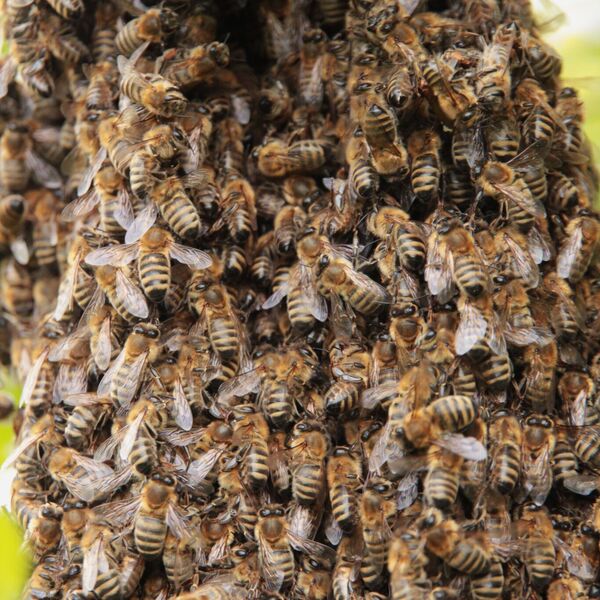 Továrna na elektromotory