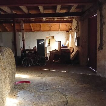 sheepfold - dead animals