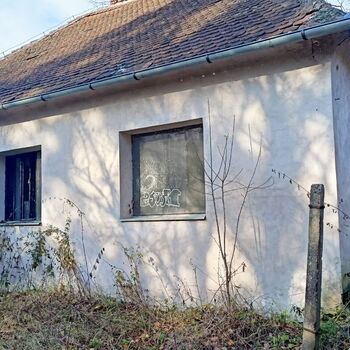 sheepfold - dead animals