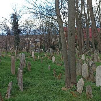 Jüdischer Friedhof 2024