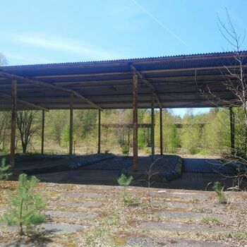 greenhouse building structure