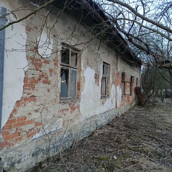 Verlassene Hütte 🏚️🏚️‼️
