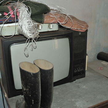 A grove in the Sudetenland.