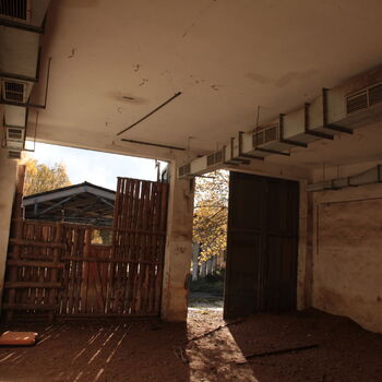 VEGA Group VEGA Group