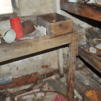 A grove in the Sudetenland.