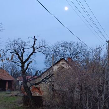 Verlassene Hütte 🏚️🏚️‼️