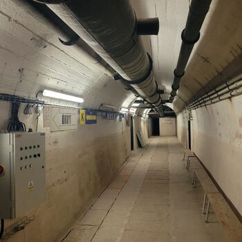 Štolák u velkého dubu.