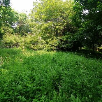 The seat of the exiles The seat of the exiles