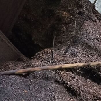 Panský dvůr 2023 Panský dvůr 2023