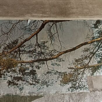 Lung Sanatorium 2024