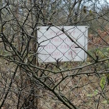 plot bariéra obstrukce strom zima Les plot bariéra obstrukce strom zima Les