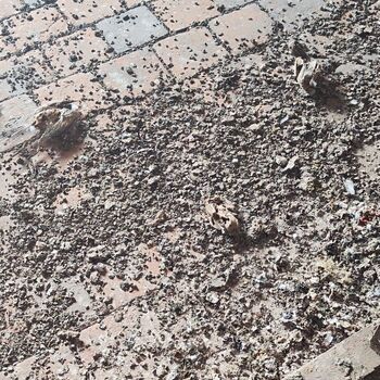 Bahnhof Jihlava Stadt_2024 Bahnhof Jihlava Stadt_2024