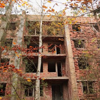 Kyjeváky in der Siedlung Ploužnice 2023