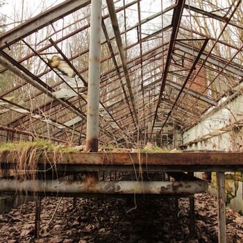 Gartenarbeit ab 1940