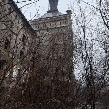 Kde holubi chodí pěšky