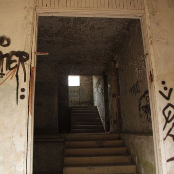 Kyjeváky in der Siedlung Ploužnice 2023