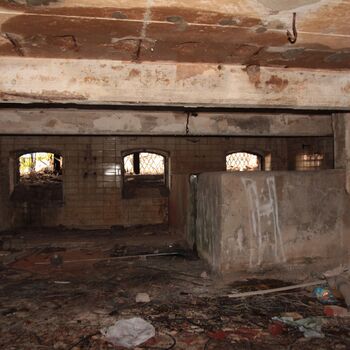 Ruinen einer kleinen Molkerei 2023 Ruinen einer kleinen Molkerei 2023