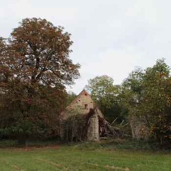 Pepper 2023 Pepper 2023