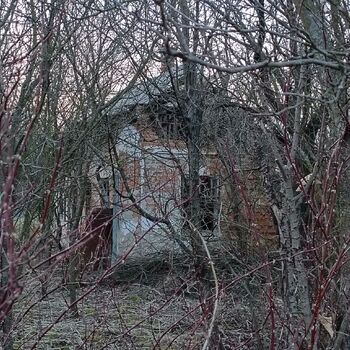 Verlassene Hütte 🏚️🏚️‼️