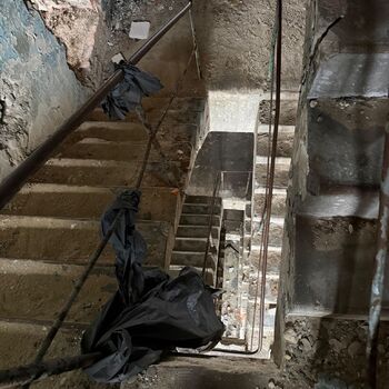 Kde holubi chodí pěšky