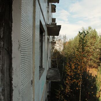 Kyjeváky in der Siedlung Ploužnice 2023