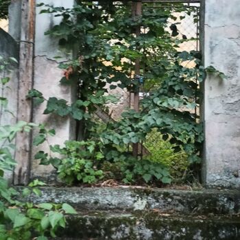 das Schloss, das jeder kennt...