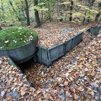 Cannons and bunkers Poland 2025