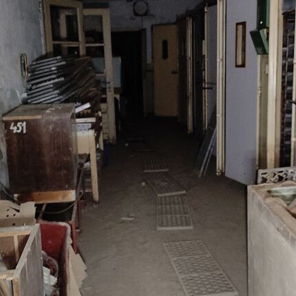 Animal autopsy 🥼🧪 Animal autopsy 🥼🧪