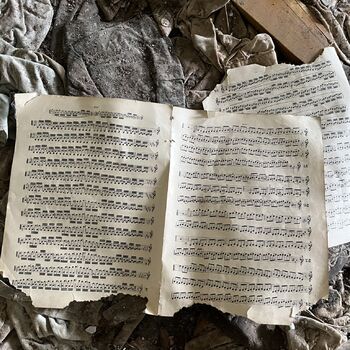 Abandoned Farmer's house