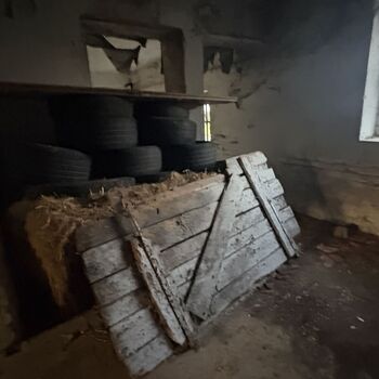 The Cow Farm The Cow Farm