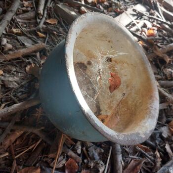 Opuštěný statek...byl tu už víckrát, tak přidám i svoje fotky