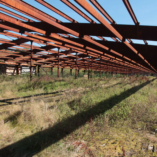 Large-capacity cowshed
