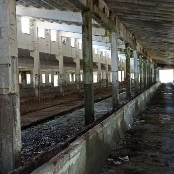 Landwirtschaftliche Genossenschaft 2022 Landwirtschaftliche Genossenschaft 2022