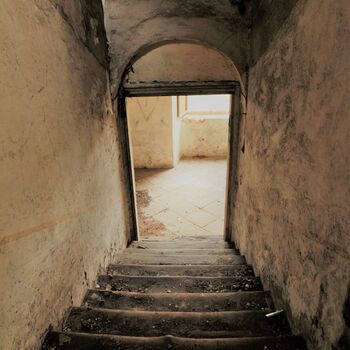 Castle, monastery, brewery and farm in one person 2021