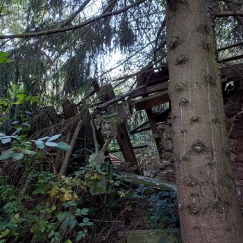 Homestead with a pond