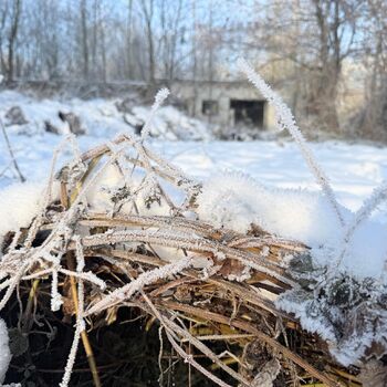 Palác u tlustého pána & přilehlý kolchoz