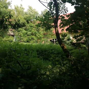 The seat of the exiles The seat of the exiles