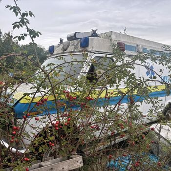 Der bekannte Friedhof der Krankenwagen
