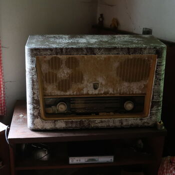 Chaloupka v Sudetech I.