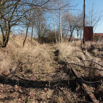 Kralovická předzvěst sovětského typu Kralovická předzvěst sovětského typu