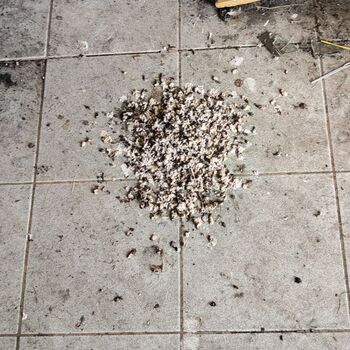 Verlassene Tankstelle