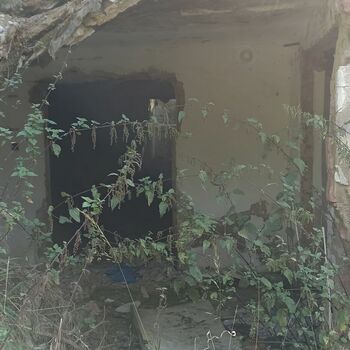 pavučina www pavučina www