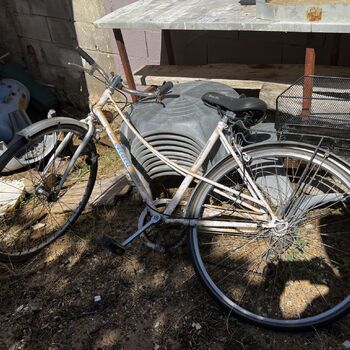 Former camp Corsica 2023