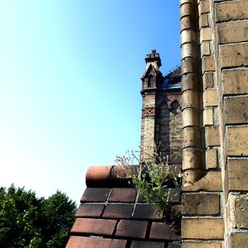 𝒫𝒶ł𝒶𝒸 𝓌 𝑀𝑜𝓀𝓇𝓏𝑒𝓈𝓏𝑜𝓌𝒾𝑒🏰