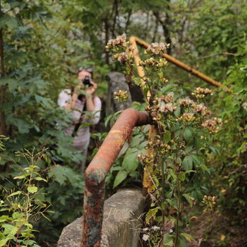 Barrandovské ohlédnutí