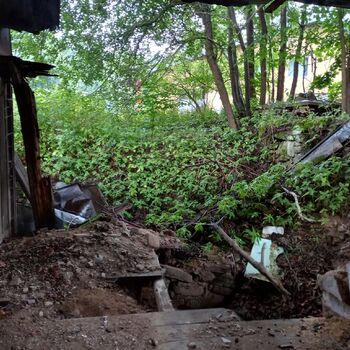 The disappearing sawmill